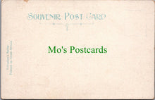 Load image into Gallery viewer, Animals Postcard, Birds, Chicks
