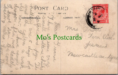 Norfolk Postcard - The Hall, Waxham  Ref.SW9842