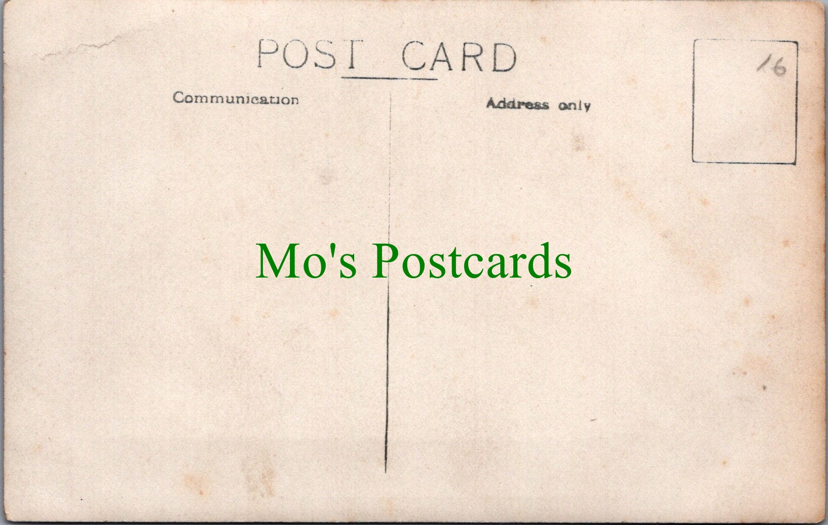 Hampshire Postcard - Greetings From Paultons Ref.SW9864