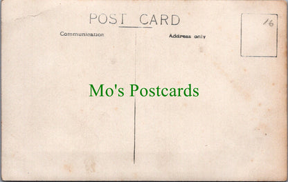 Hampshire Postcard - Greetings From Paultons Ref.SW9864