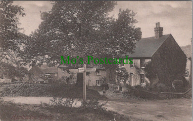 Surrey Postcard - Hambledon Green Ref.HP382