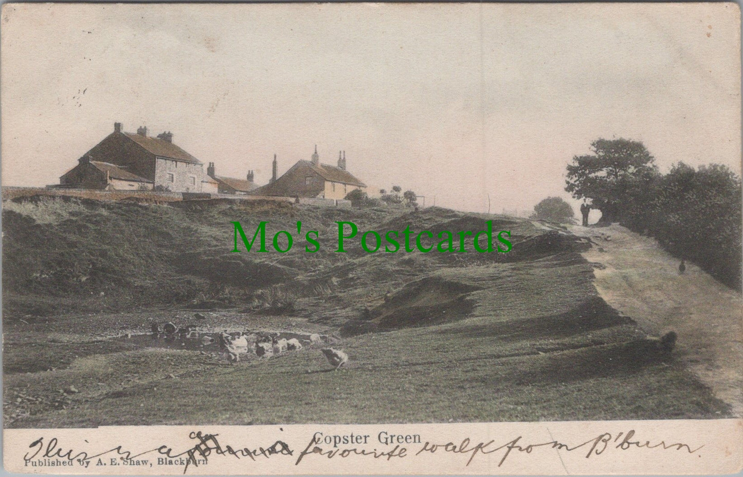 Lancashire Postcard - Copster Green Village Ref.HP404