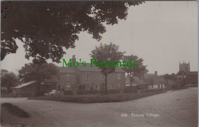 Lincolnshire Postcard - Tetney Village  Ref.HP407