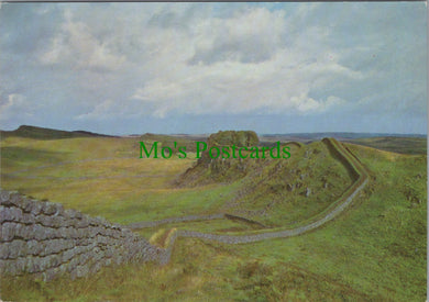 Housesteads Roman Fort, Northumberland