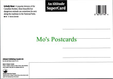 Load image into Gallery viewer, Grizzly Bear, The Canadian Rockies
