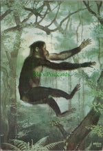 Load image into Gallery viewer, Proconsul, Monkey Like Ape, East Africa
