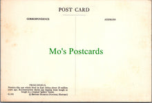 Load image into Gallery viewer, Proconsul, Monkey Like Ape, East Africa
