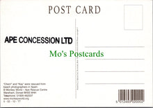 Load image into Gallery viewer, &quot;Cherri&quot; and &quot;Kay&quot;, Monkey World Ape Rescue Centre
