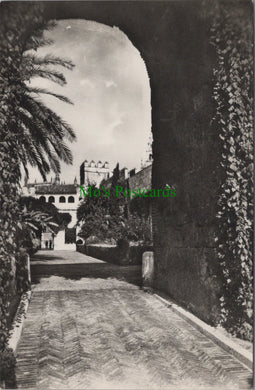 Spain Postcard - Sevilla - Royal Moorish Castle: Lion Court  Ref.SW10088
