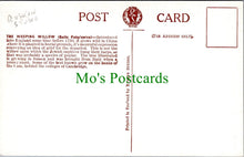 Load image into Gallery viewer, Nature Postcard - The Weeping Willow Tree Ref.SW10106
