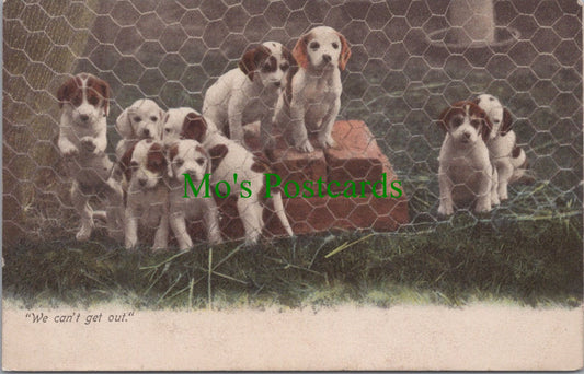 Animals Postcard - Dogs, Puppies, "We Can't Get Out" Ref.SW10111