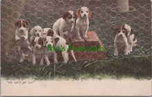 Load image into Gallery viewer, Animals Postcard - Dogs, Puppies, &quot;We Can&#39;t Get Out&quot; Ref.SW10111
