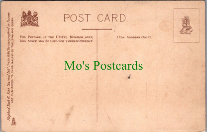 Animals Postcard - Dogs, Puppies, "We Can't Get Out" Ref.SW10111