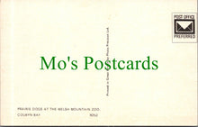 Load image into Gallery viewer, Animals Postcard - Prairie Dogs at The Welsh Mountain Zoo, Colwyn Bay Ref.SW10180
