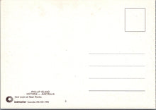Load image into Gallery viewer, Animals Postcard - Seal Pups at Seal Rocks, Phillip Island, Victoria, Australia Ref.SW9957
