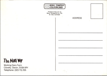 Devon Postcard - The Milky Way Working Dairy Farm, Clovelly Ref.SW9967