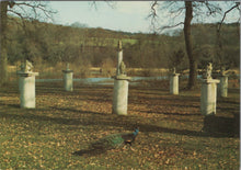 Load image into Gallery viewer, Birds Postcard - Peacock at Child-Beale Wildlife Trust, Basildon-on-Thames Ref.SW9997
