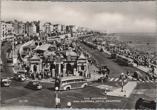 Sussex Postcard - The Aquarium and Madeira Drive, Brighton Ref.SW10033