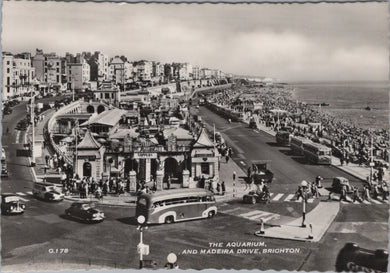 Sussex Postcard - The Aquarium and Madeira Drive, Brighton Ref.SW10033
