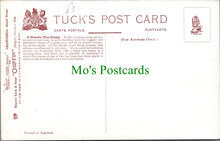 Load image into Gallery viewer, A Monster Tree Stump, California Giant Trees
