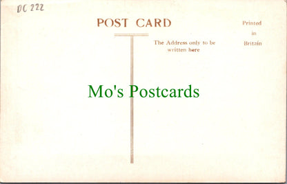 Yorkshire Postcard - Airton, Newfield Hall From The Lawn  DC222