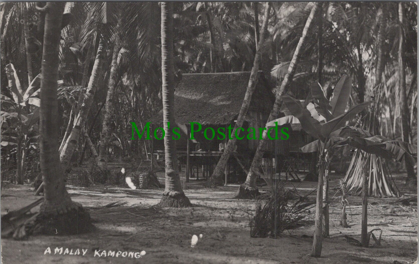 Asia Postcard - A Malay Kampong DC63