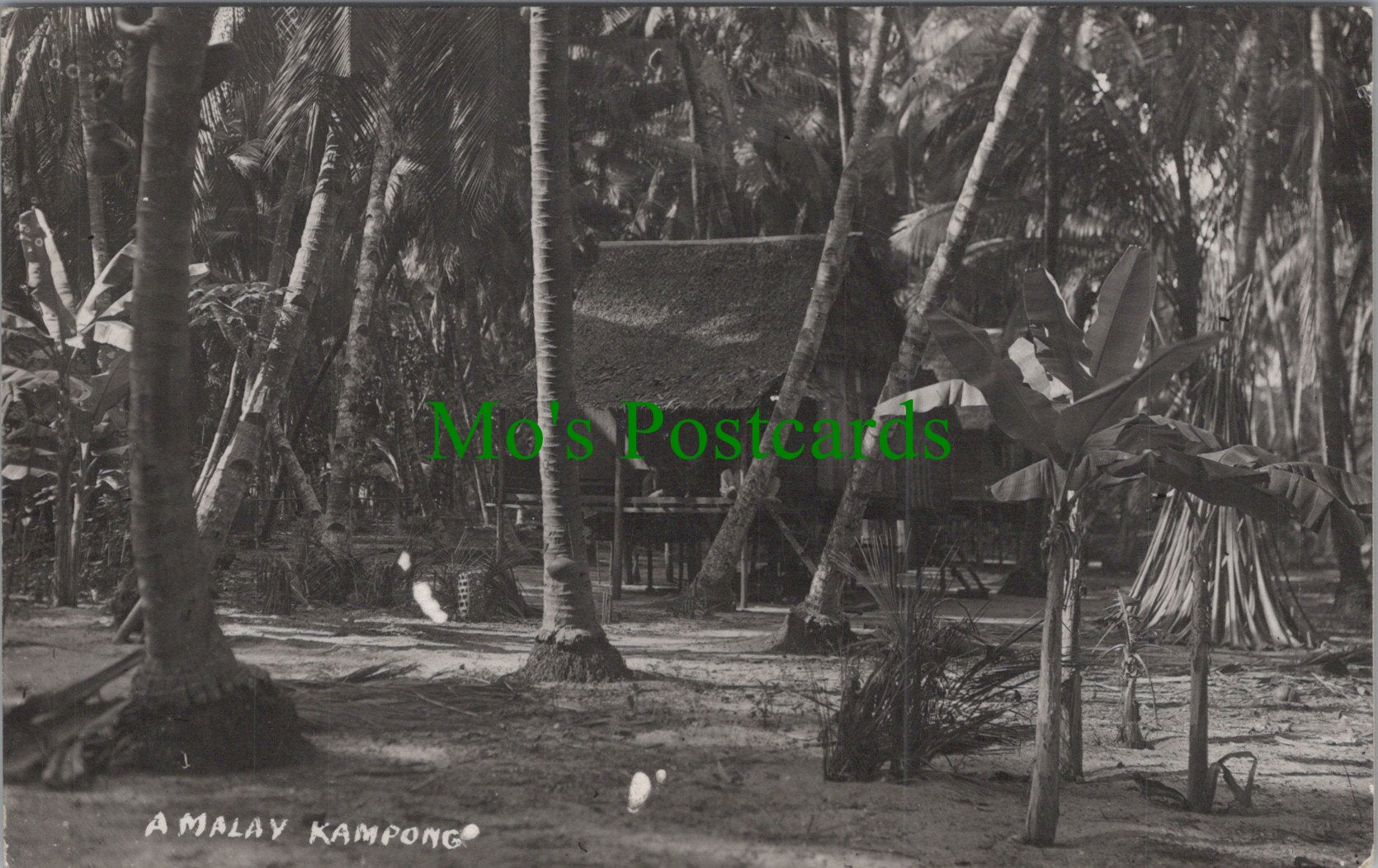 Asia Postcard - A Malay Kampong DC63