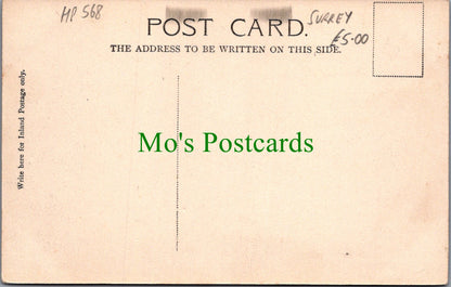 Surrey Postcard - Hindhead, The Royal Huts Hotel  HP568