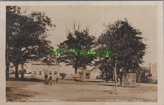 Norfolk Postcard - Great Ormsby, The Green   HP572