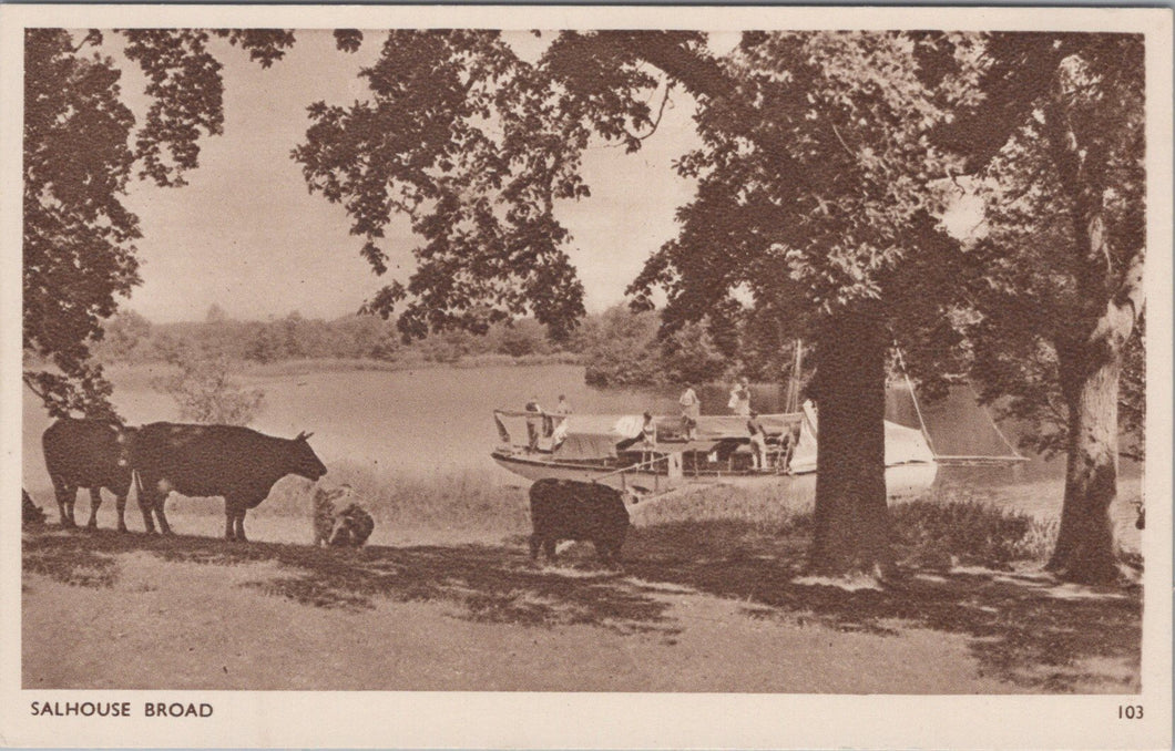 Norfolk Postcard - Salhouse Broad SW10746