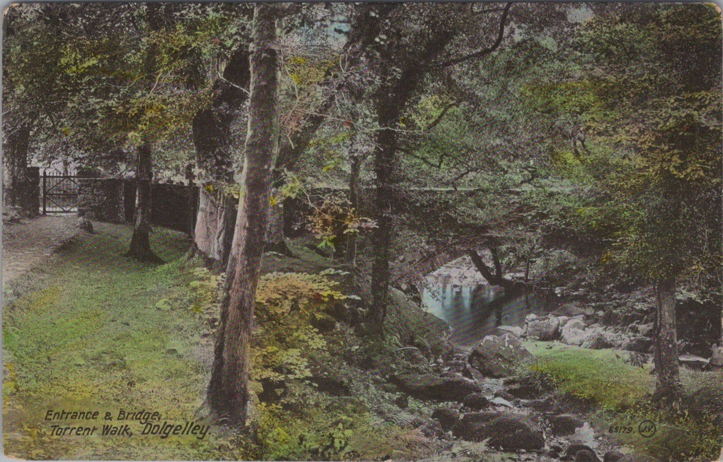 Wales Postcard - Dolgelley, Bridge, Torrent Walk SW10797