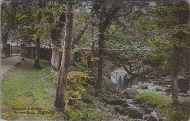 Wales Postcard - Dolgelley, Bridge, Torrent Walk SW10797