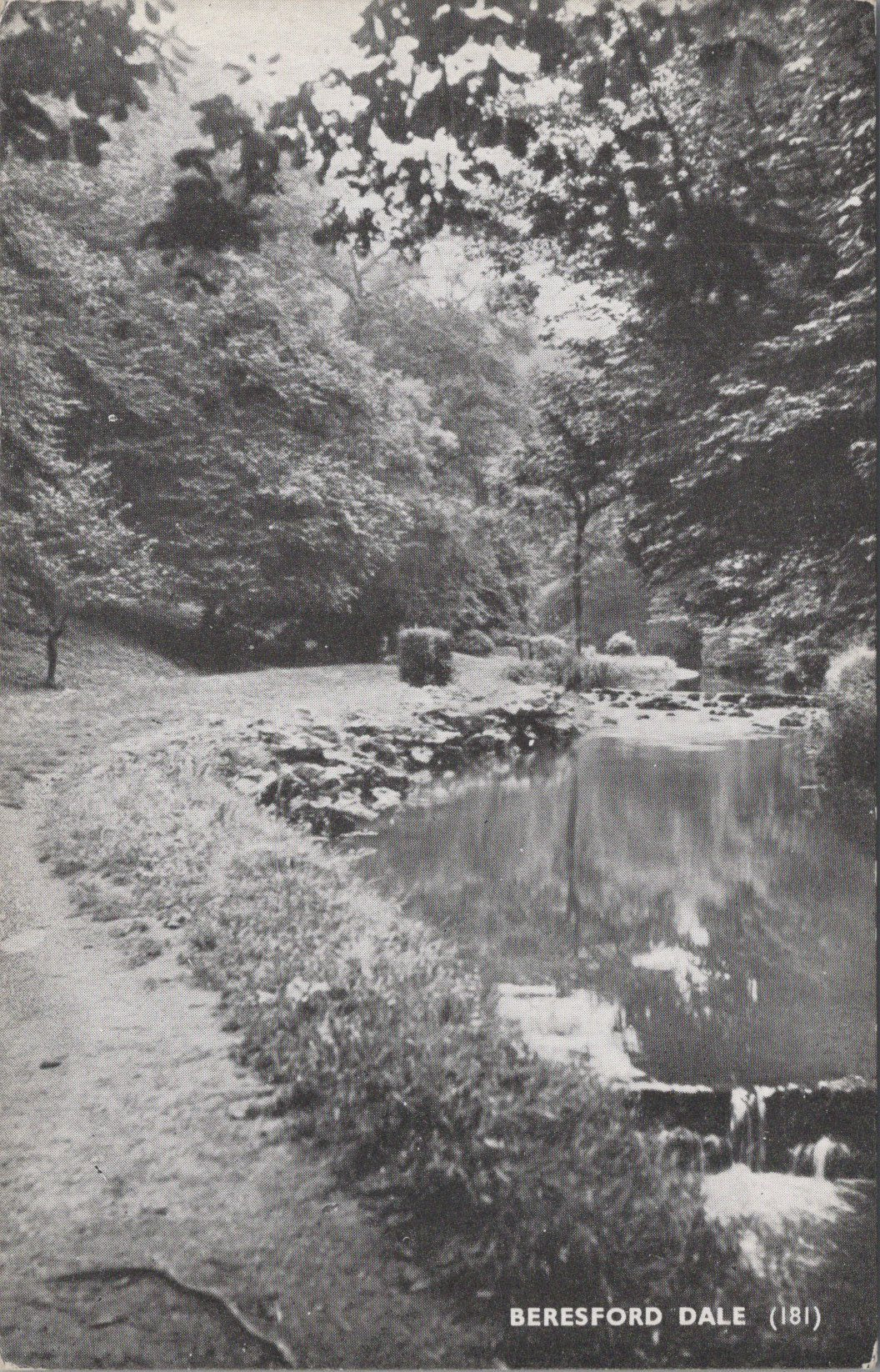 Derbyshire Postcard - Beresford Dale, Dove Valley  SW10815