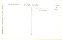 Load image into Gallery viewer, Cumbria Postcard - Ambleside, The Old Bridge House  SW10823
