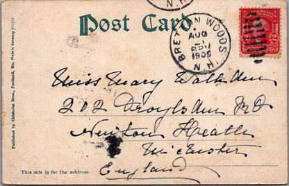 America Postcard - Mount Washington, New Hampshire, In Winter SW10828