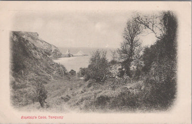 Devon Postcard - Anstey's Cove, Torquay  SW10862