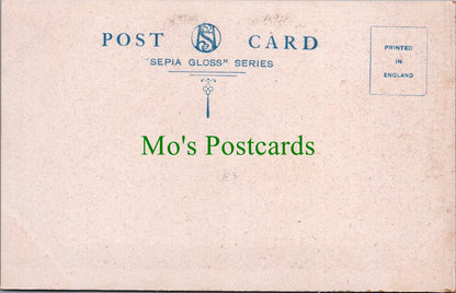 Sussex Postcard - Hastings, Lover's Seat  SW10482