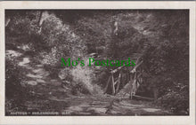 Load image into Gallery viewer, Sussex Postcard - Hastings, Ecclesbourne Glen  SW10486

