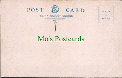 Sussex Postcard - Hastings, Ecclesbourne Glen  SW10486