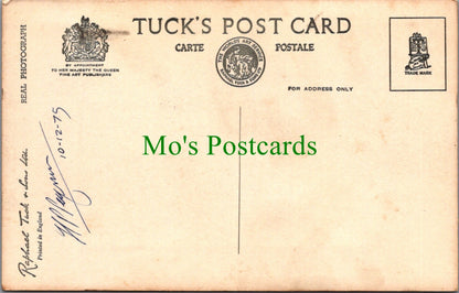 Surrey Postcard - The Waterfall, Virginia Water SW10494