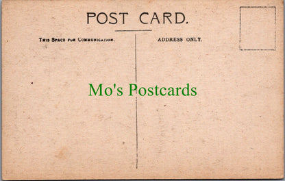 Sussex Postcard - Pevensey, Mint House, The Minting Chamber SW10499