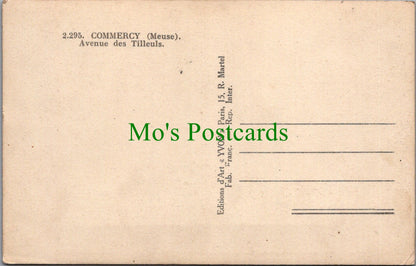 France Postcard - Commercy, Meuse, Avenue Des Tilleuls SW10532