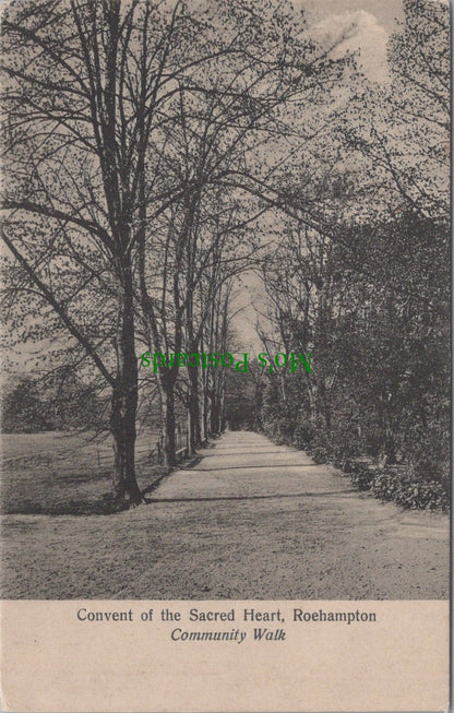 London Postcard - Roehampton, Covent of The Sacred Heart SW10566