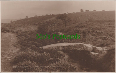 Devon Postcard - Dartmoor, Wallabrook Bridge   SW10568