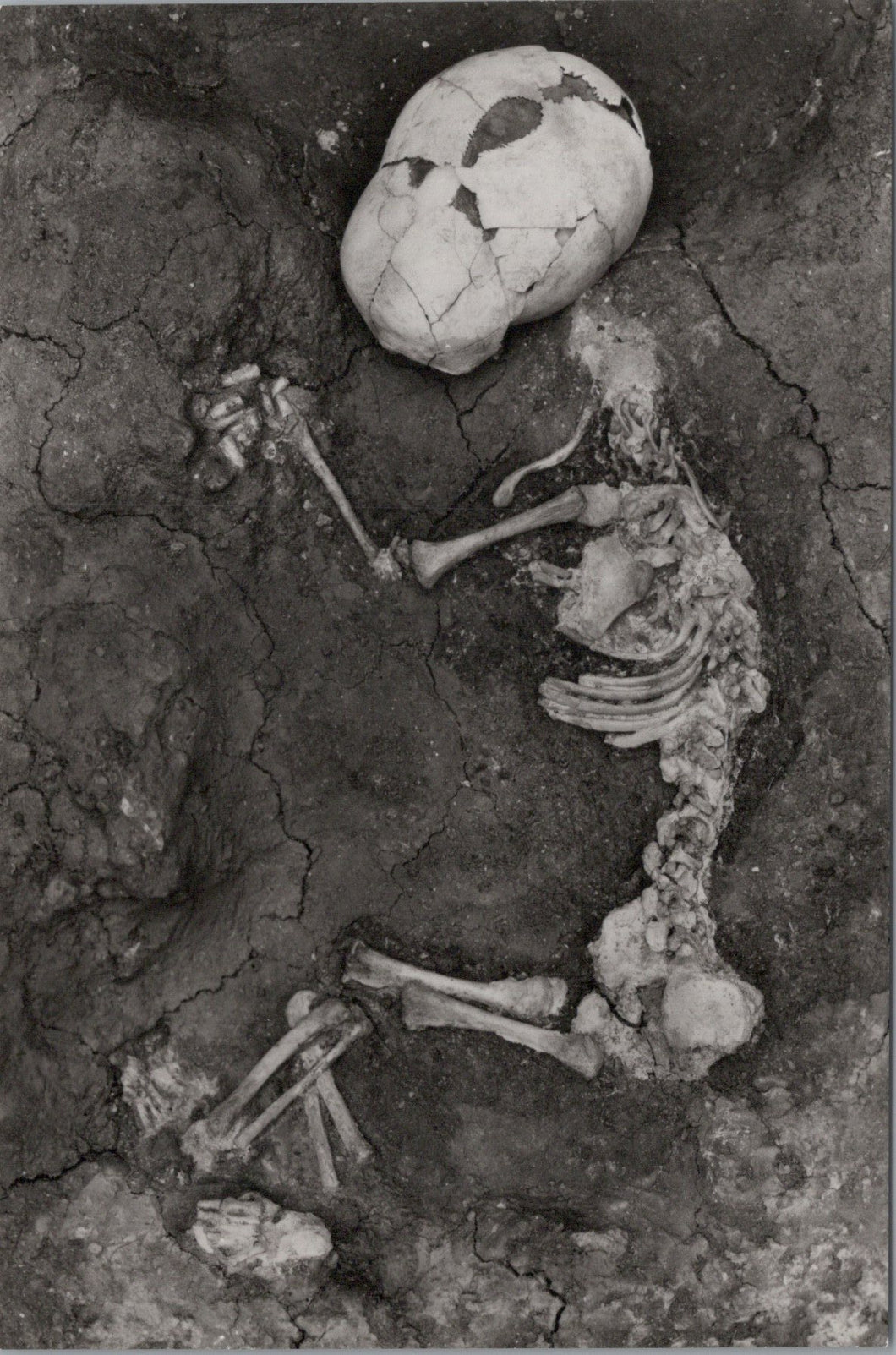 Archaeology Postcard - Infant Burial Beneath Room II, House 10 - SW10275