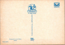 Load image into Gallery viewer, Animals Postcard - Grey Seal Pup, British Wild Animals SW10300
