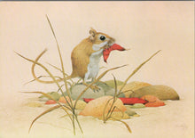 Load image into Gallery viewer, Animal Art Postcard - Gerbil Eating a Judas Tree Pod, Kenneth Lilly SW10307

