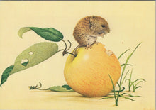 Load image into Gallery viewer, Animal Art Postcard - Field Vole, Kenneth Lilly SW10308
