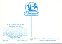 Load image into Gallery viewer, Animals Postcard - The Tawny Owl SW10344
