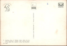 Load image into Gallery viewer, Animals Postcard - Feeding Time at Windsor Safari Park SW10350
